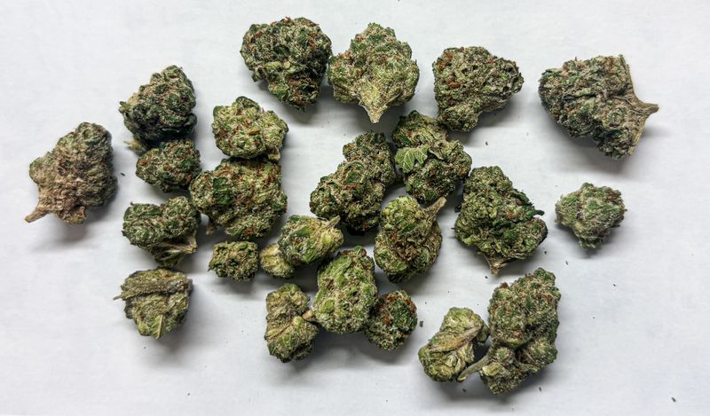 Permanent Marker (Indica)