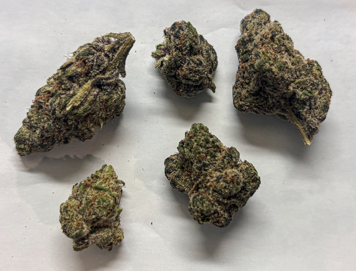 Rainbow Push Pop (exotic-Indica)