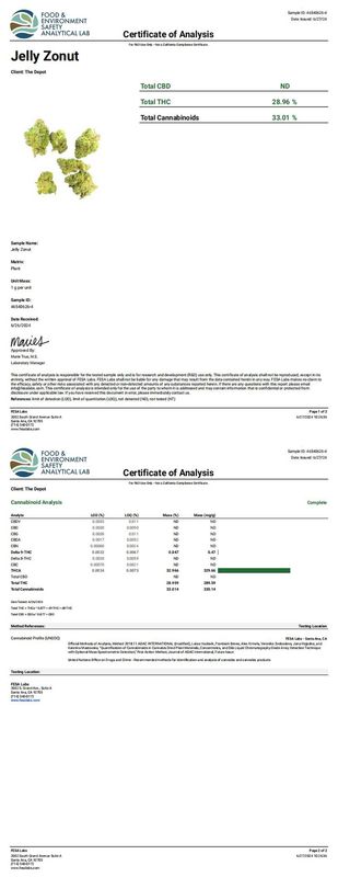 Jelly Zonut (Hybrid)