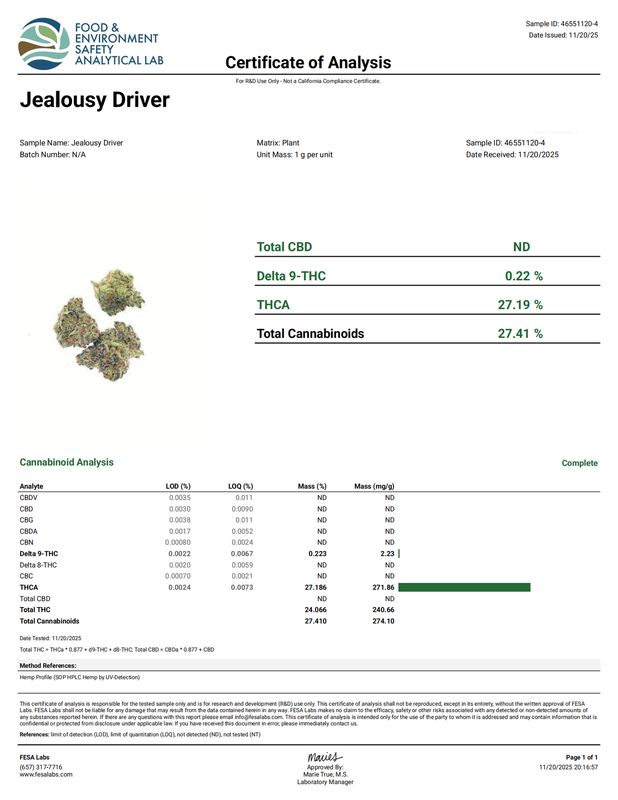 Jealousy Driver (Indica)