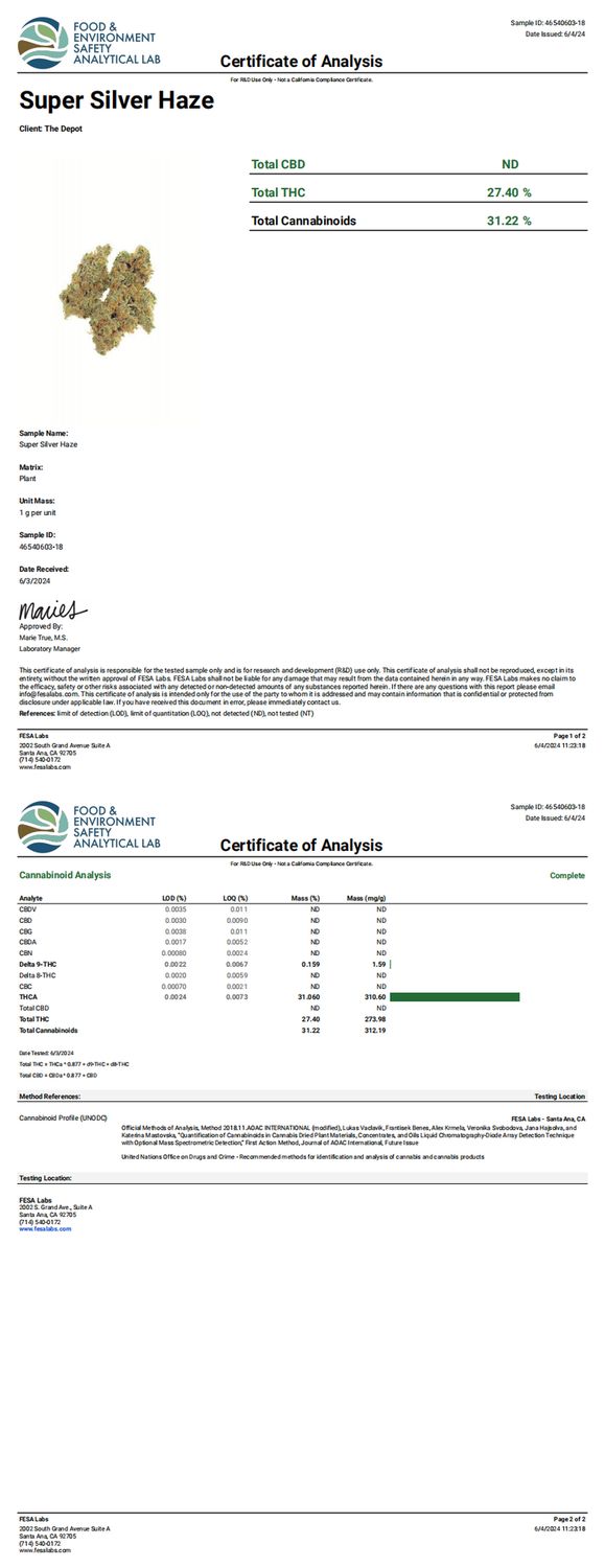 Super Silver Haze (Sativa-Exotic), How Much?: 3.5g
