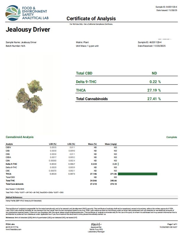 Jealous Driver (Indica)