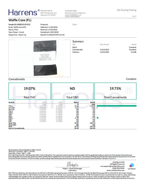 Waffle Cone (Hybrid)