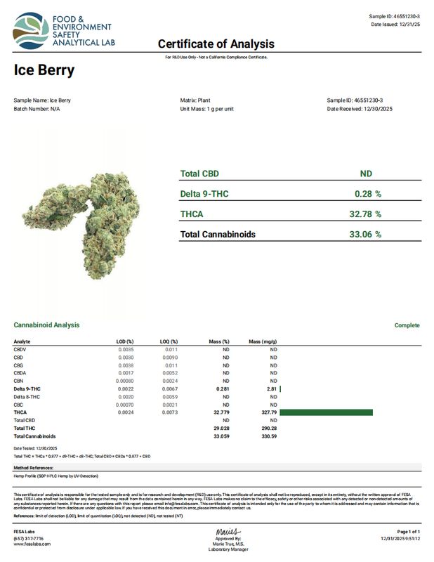 Ice Berry (Exotic-Hybrid)