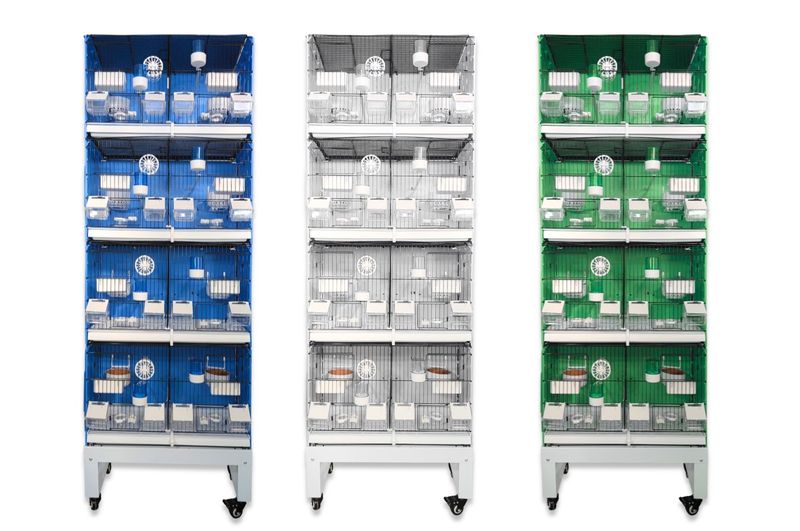 MLF 60cm breeding cages stack of 4