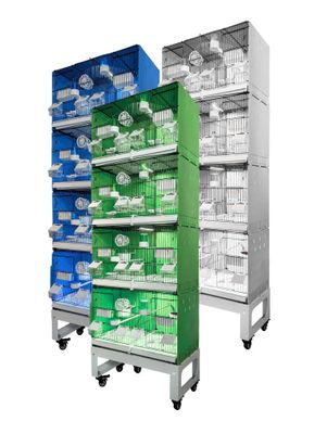 MLF 60 set of 4