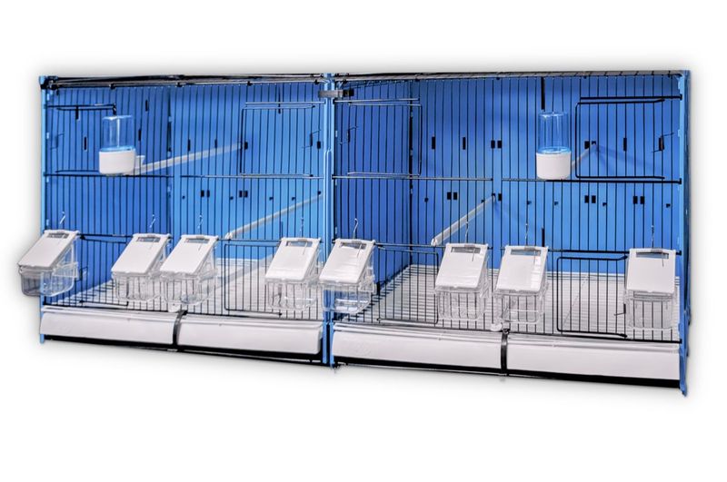 MLF 120cm  breeding cages