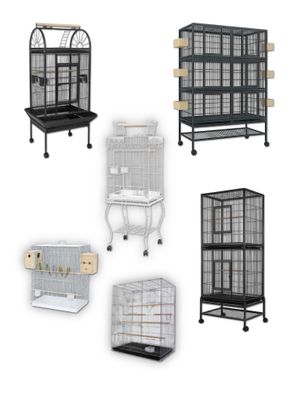 Bird Cages