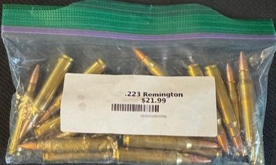 .233 Remington (20 count)