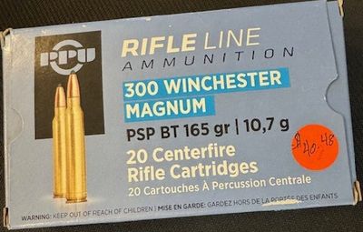 300 WIN MAG 165 grain