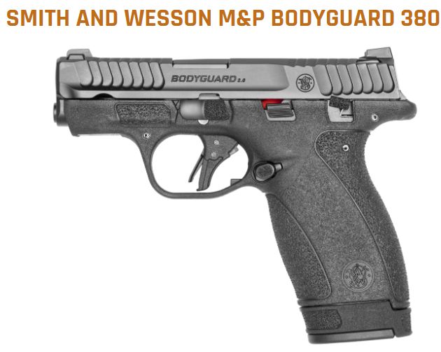 BODYGUARD 2.0 380ACP /12+1 T8