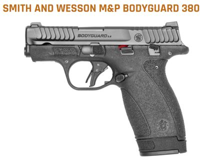 BODYGUARD 2.0 380ACP /12+1 T8
