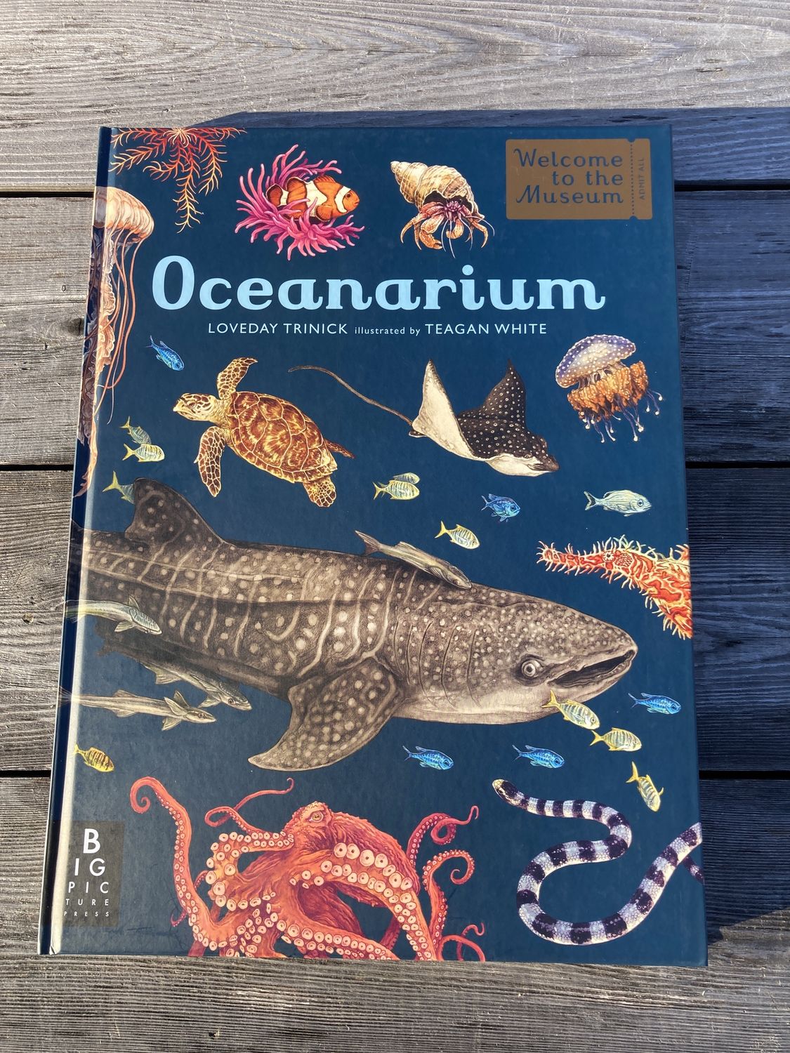 Oceanarium - Welcome to the Museum