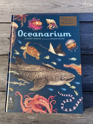 Oceanarium - Welcome to the Museum