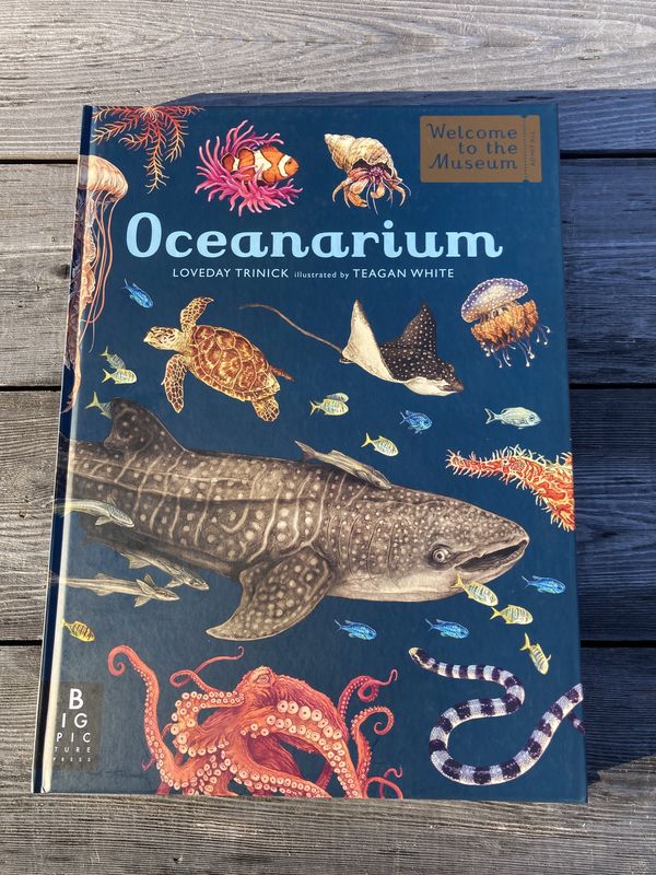 Oceanarium - Welcome to the Museum