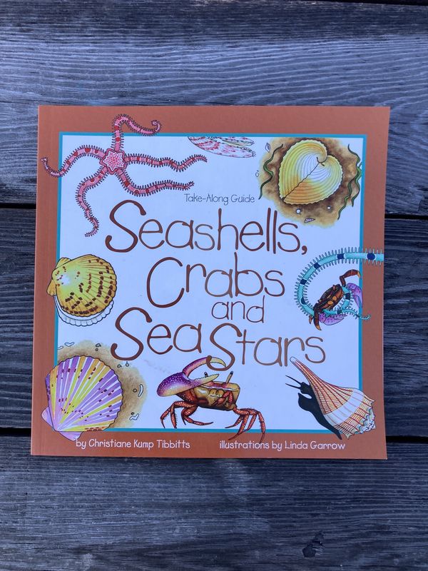 Seashells crabs & sea stars