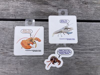 OEC critter stickers
