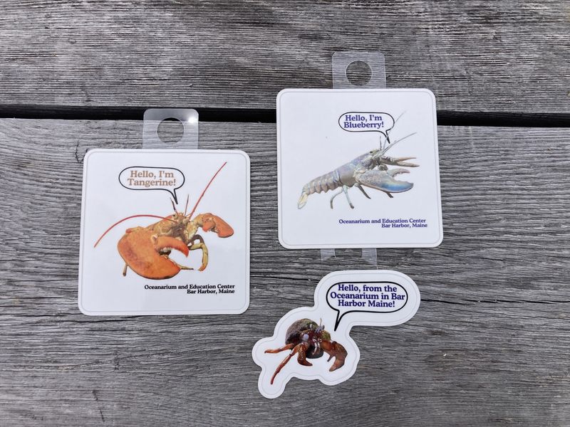 OEC critter stickers