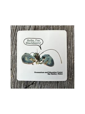 Blackberry critter sticker