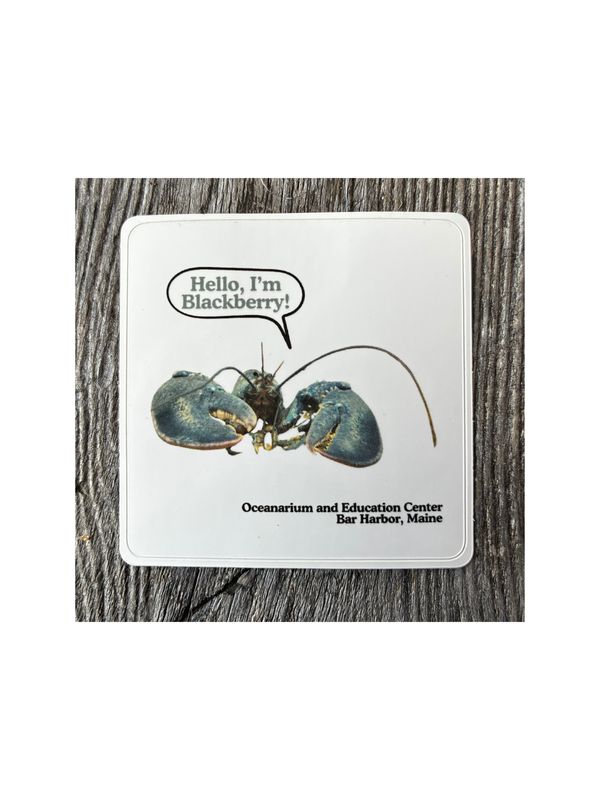 Blackberry critter sticker