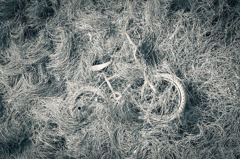 Ghost in the Grass 60"X40" Print