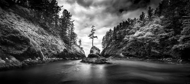 Eternal Shadows: Dead Man's Cove, Cape Disappointment State Park 36"X16" Photo.