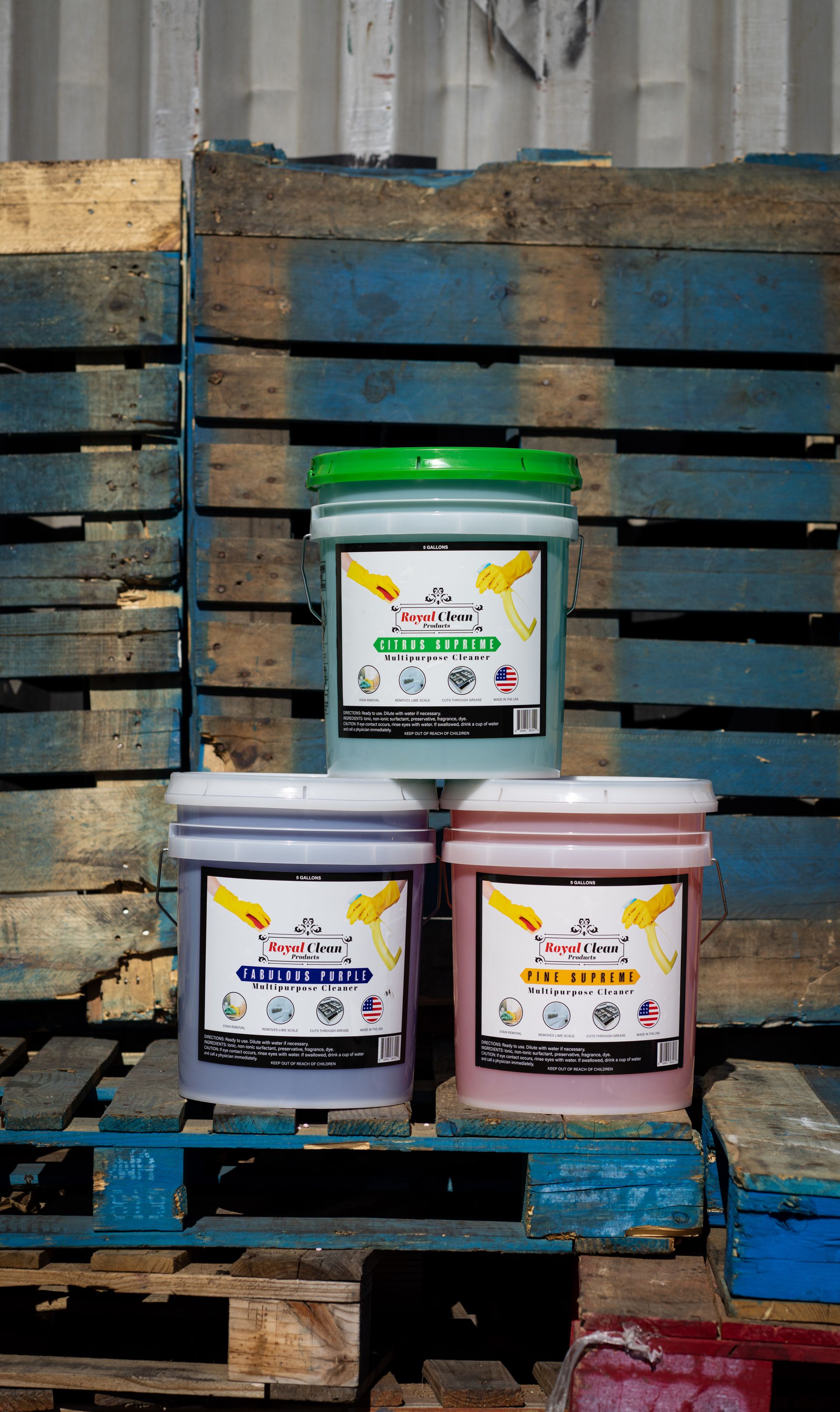 Multi-Purpose Cleaners (5 gal)