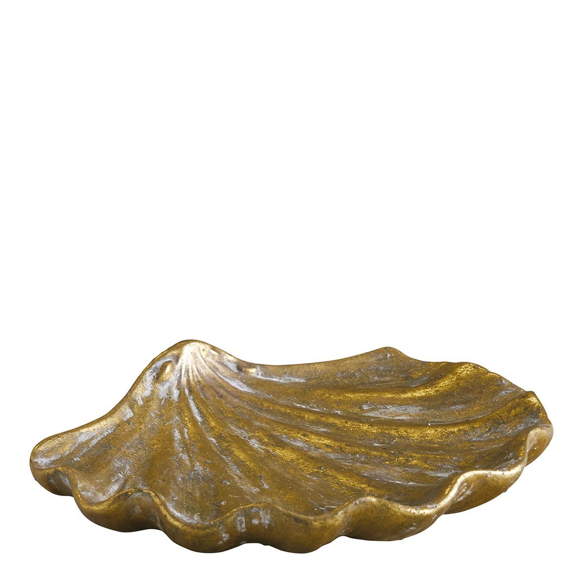 CONCHA ORO