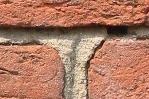 Standard Mortar