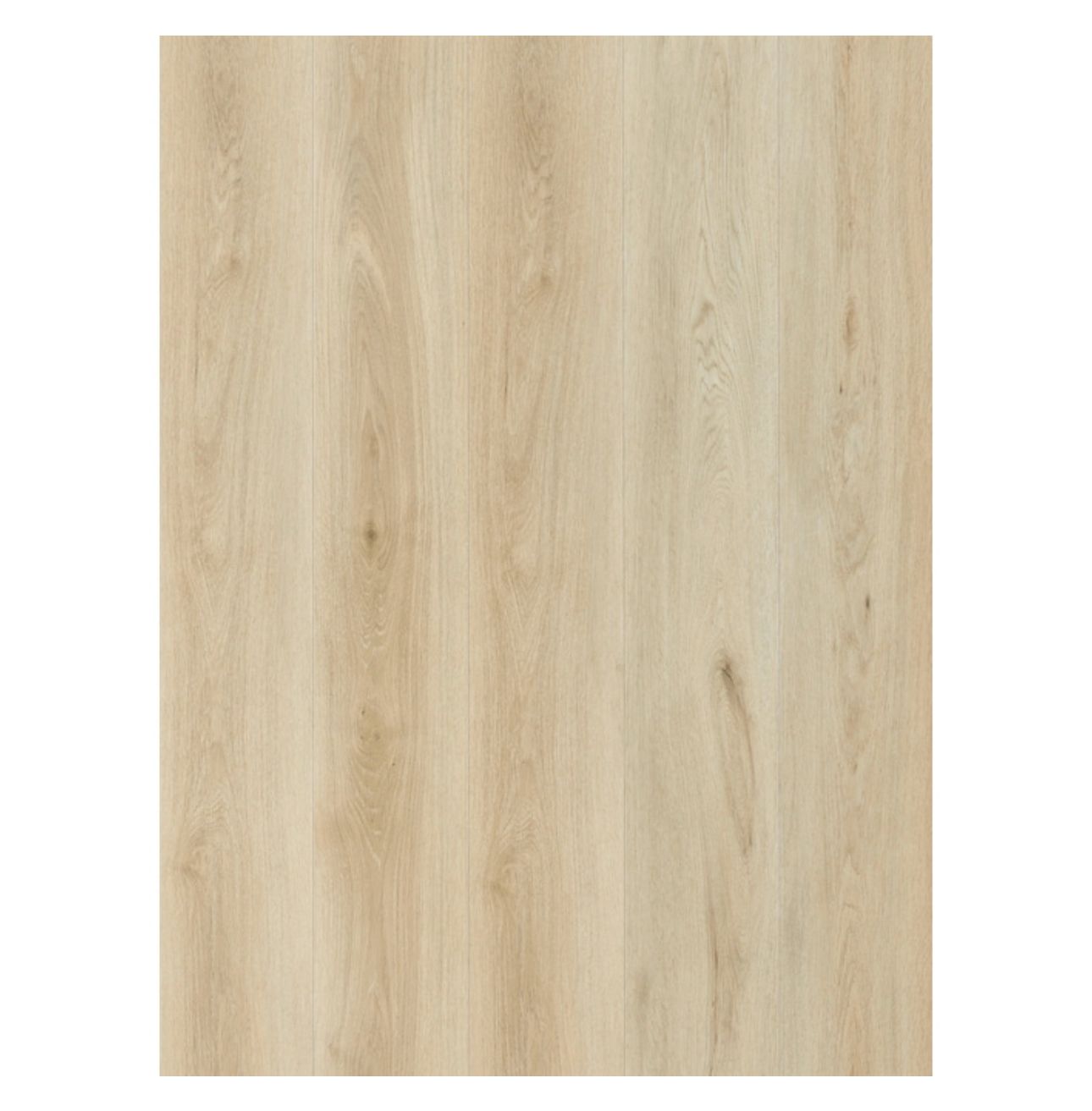 Pacific Sands Oak
