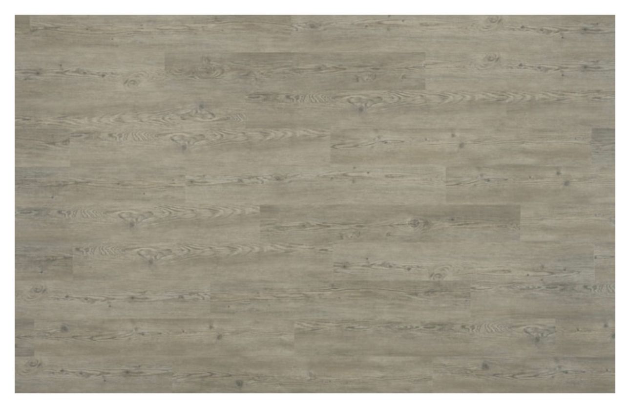 Ashen Oak