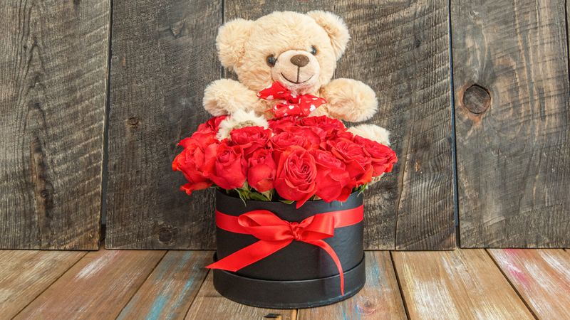 Teddy Love