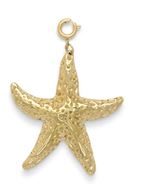 Big seastar charm - le veer