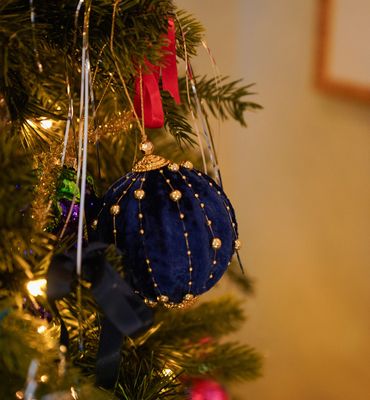 Holy Blue Berry Ornament - anna+nina
