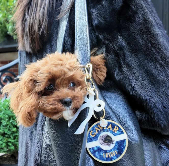 Kaviaar bagcharm en sleutelhanger - solar eclipse