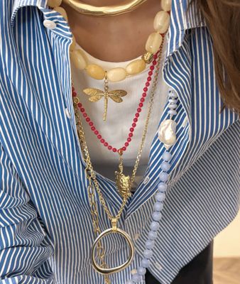 dragon fly bedel - le veer