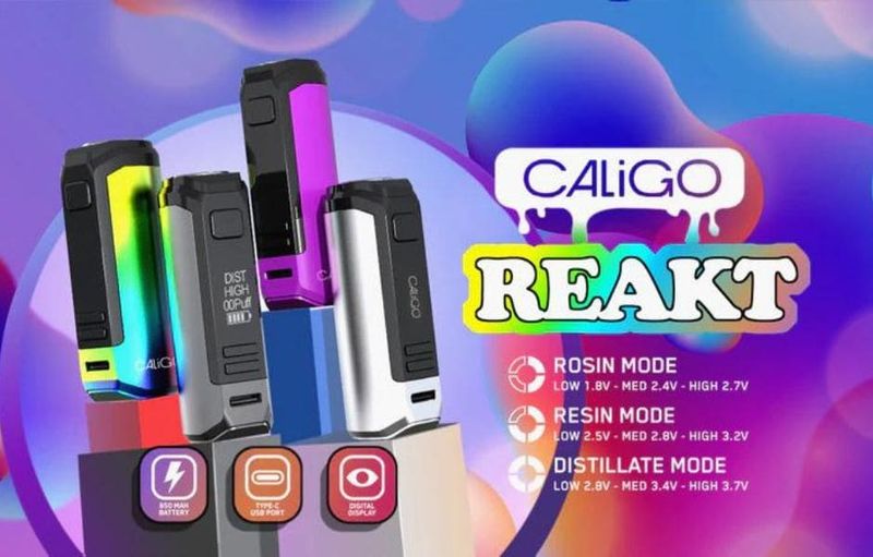 Caligo Reakt