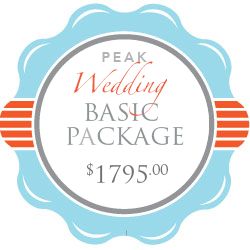 Total DJ - Basic Wedding Package