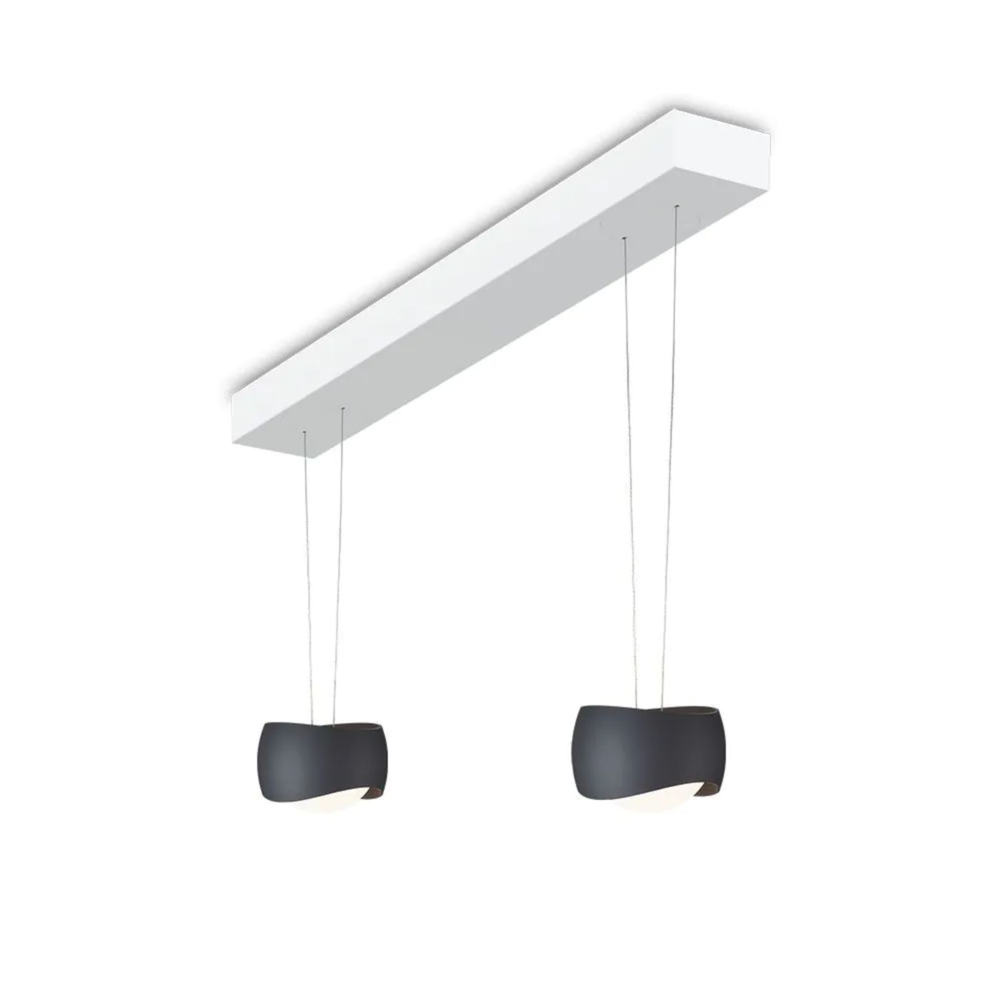 Curved 2 hanglamp