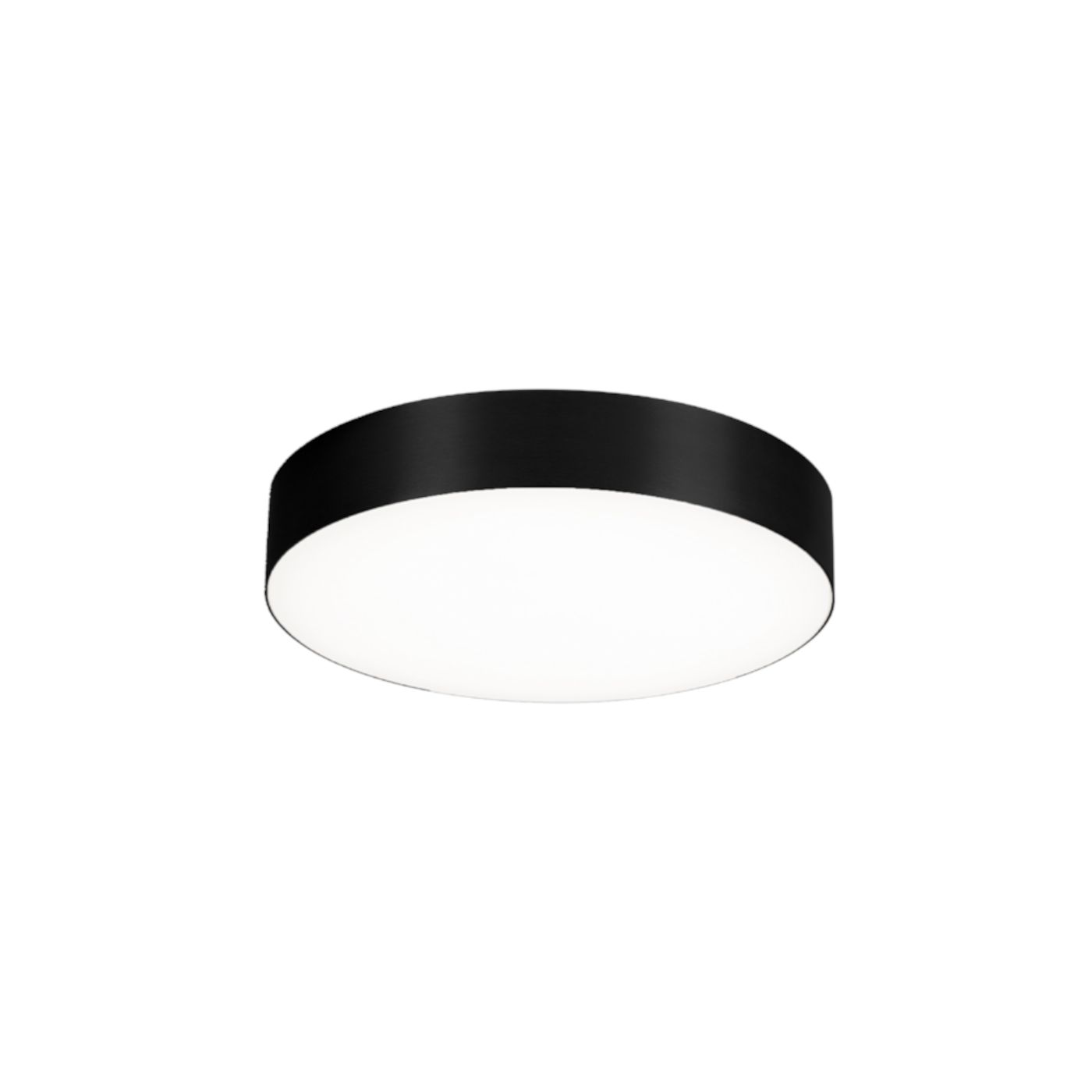 Roby IP44 2.6 wand-plafondlamp 