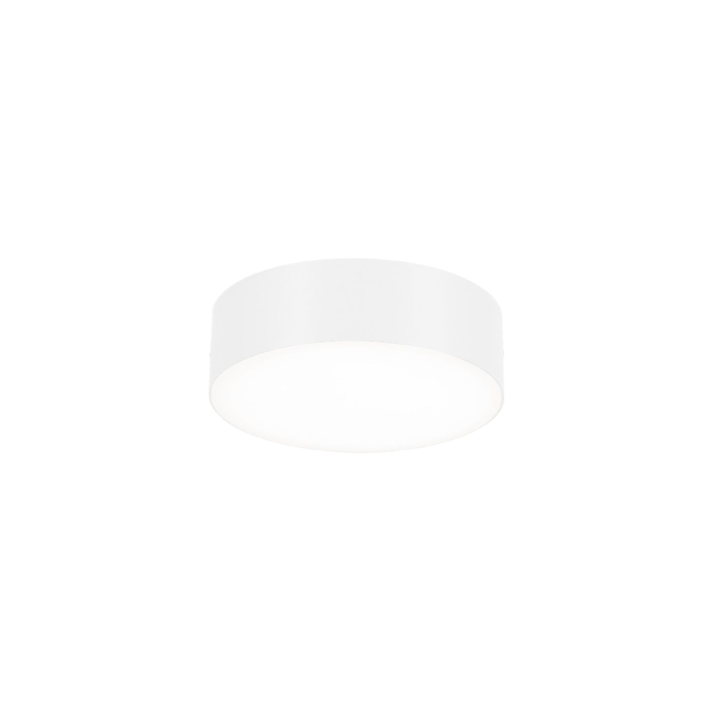 Roby IP44 1.6 wand-plafondlamp 