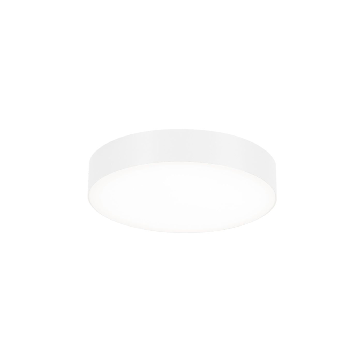 Roby IP44 2.6 wand-plafondlamp 