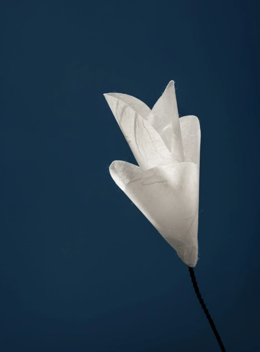 For You  tafellamp
