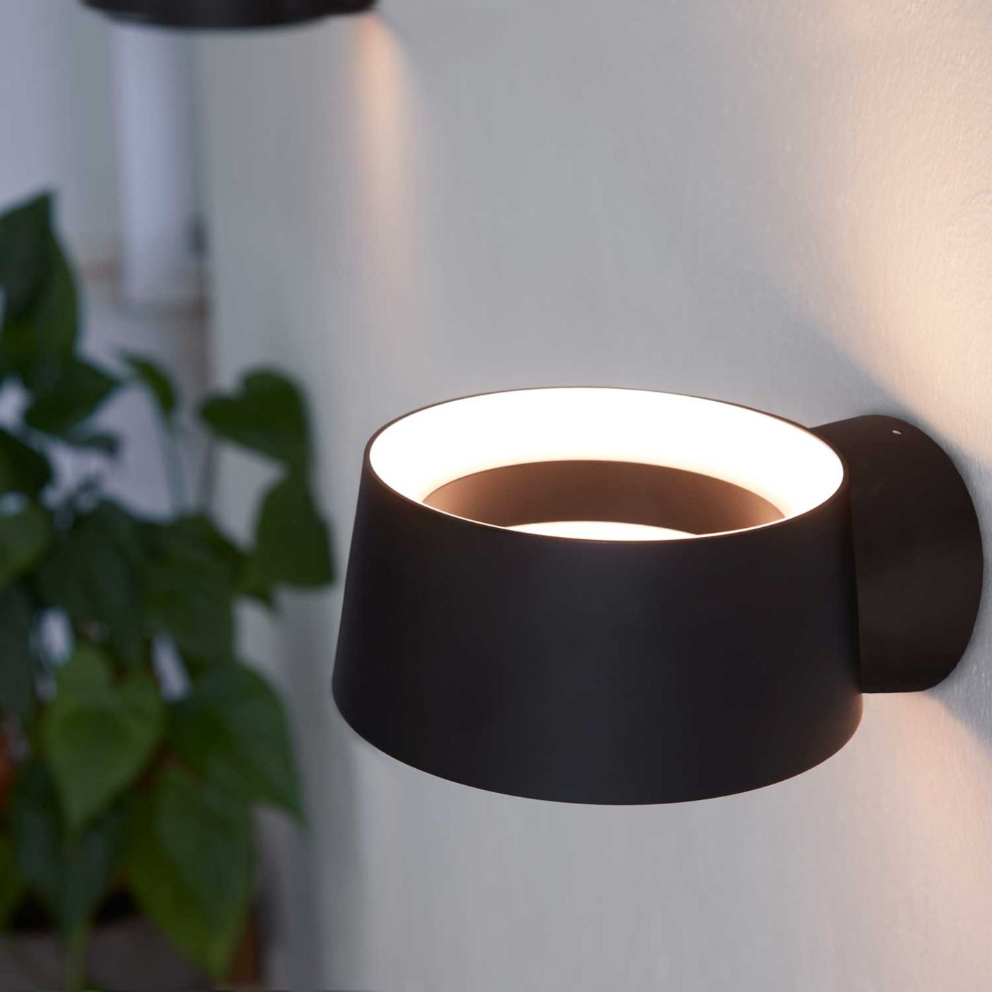 Cookie wandlamp / plafondlamp