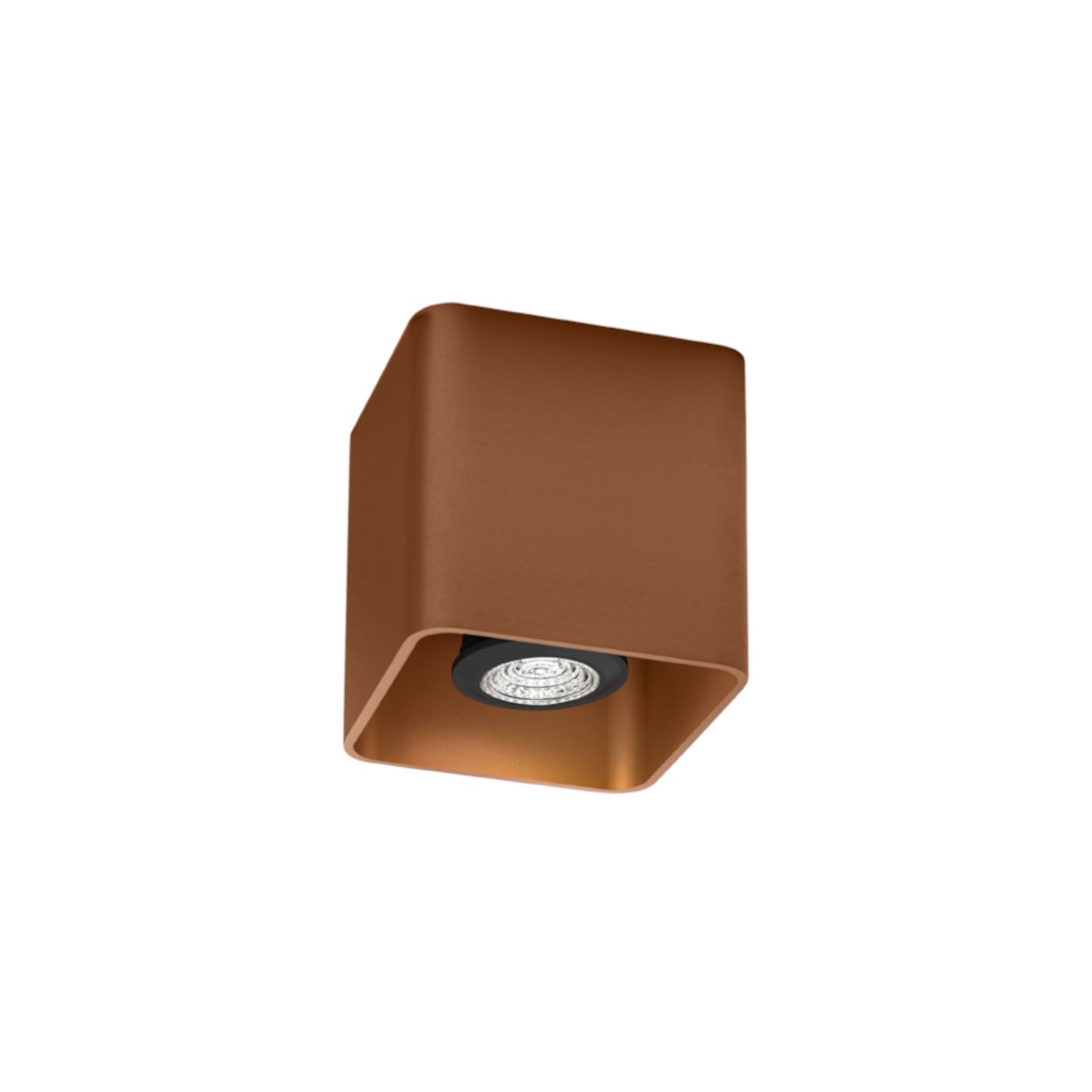 Docus 1.0  PAR16 plafondspot   