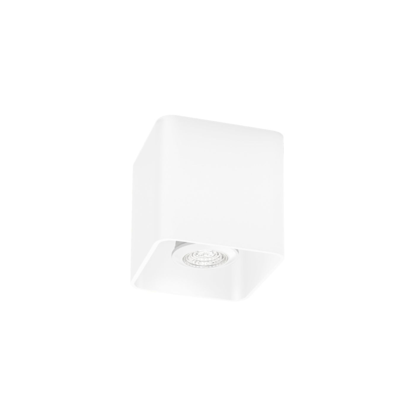 Docus 1.0  PAR16 plafondspot   