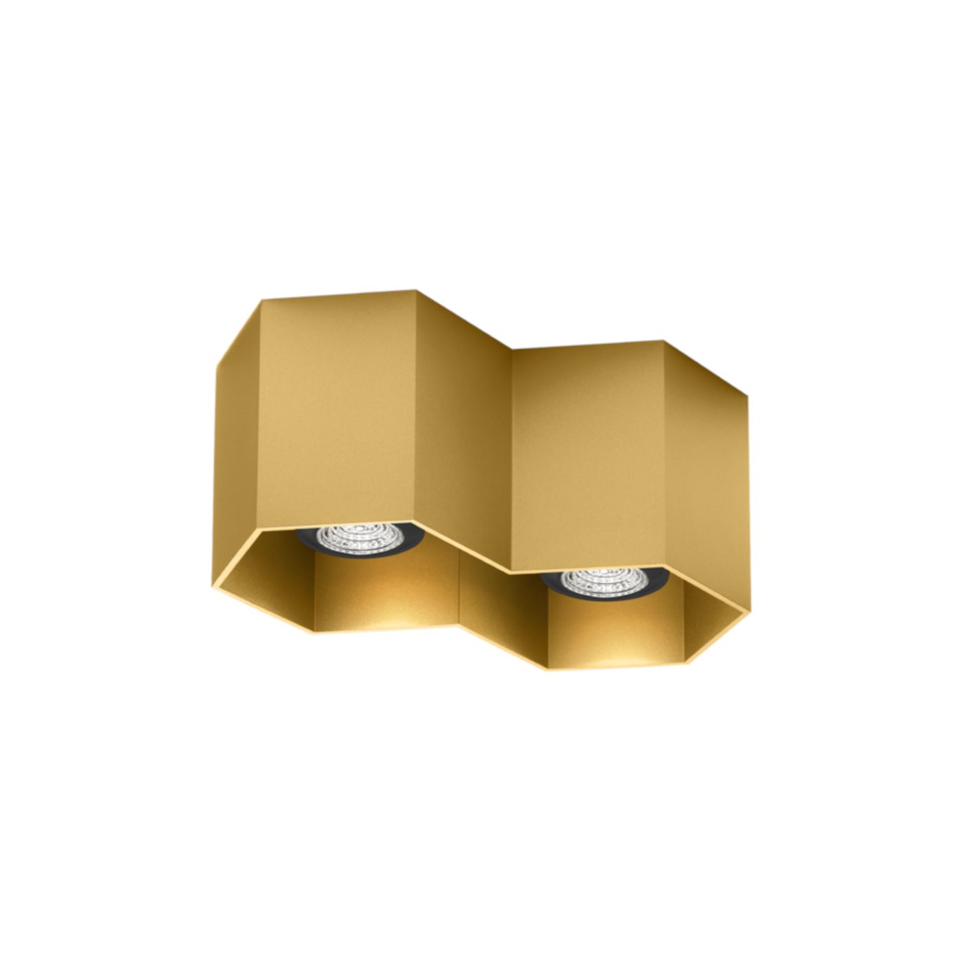 Hexo 2.0  PAR16 plafondspot  