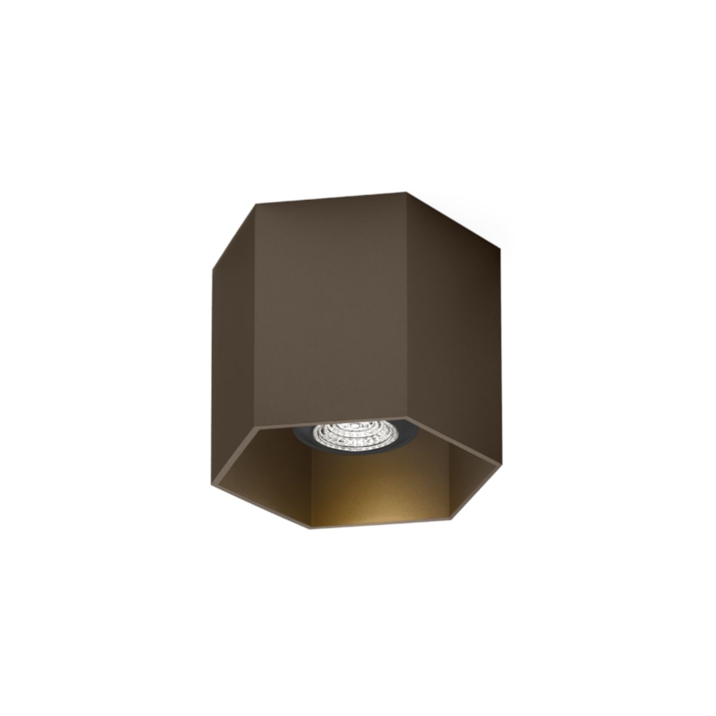 Hexo 1.0  PAR16 plafondspot 