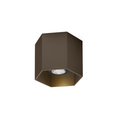 Hexo 1.0  PAR16 plafondspot 