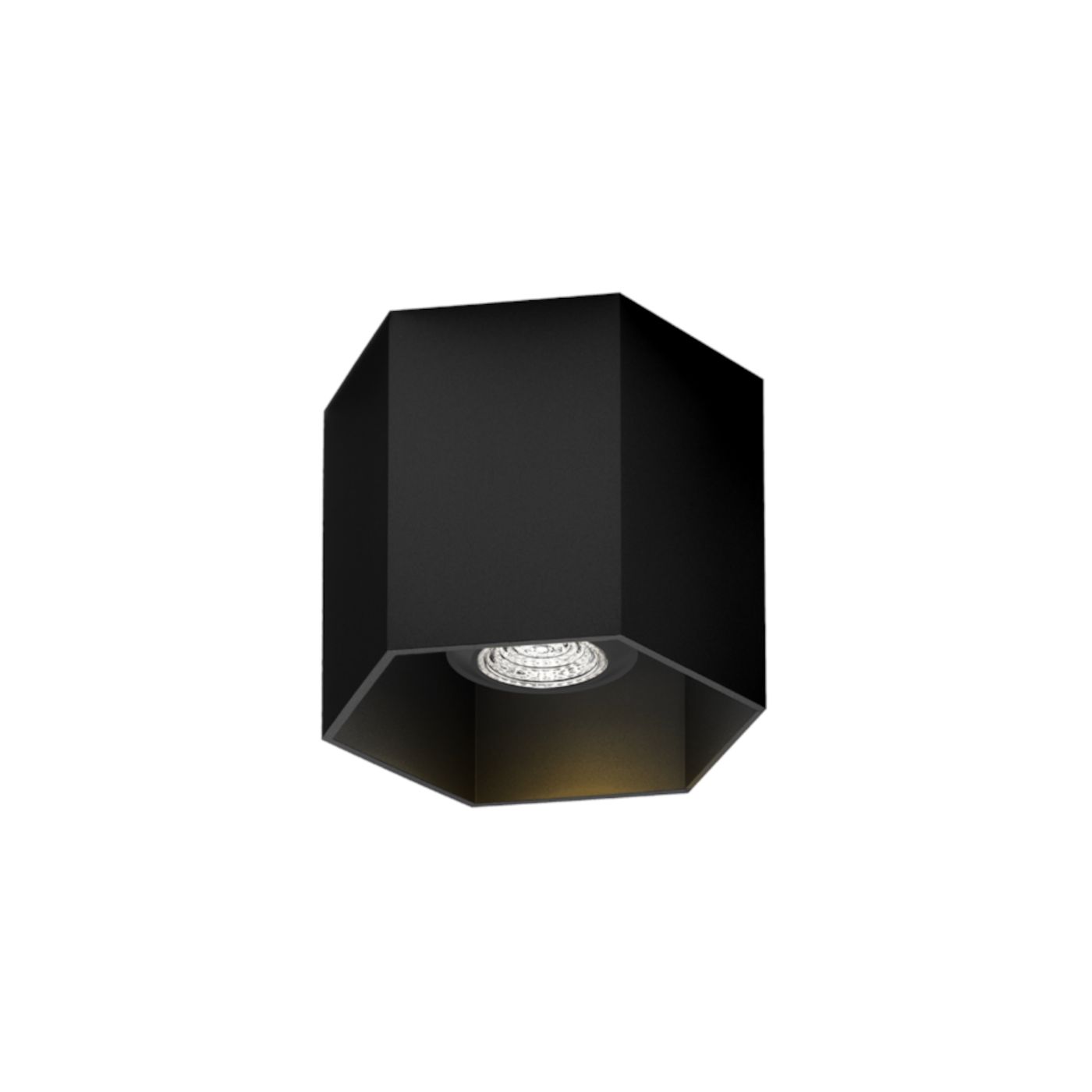 Hexo 1.0  PAR16 plafondspot 